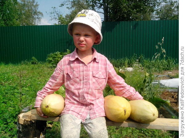 недоволен, солнце светит