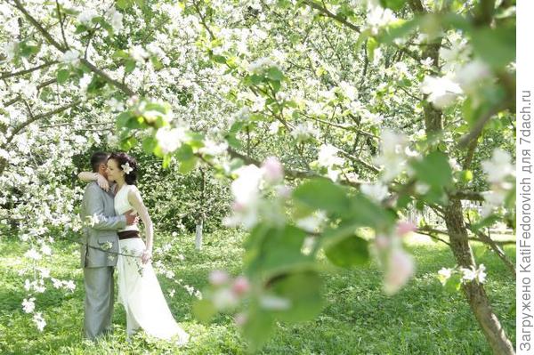 съемка в садах, Голицыно