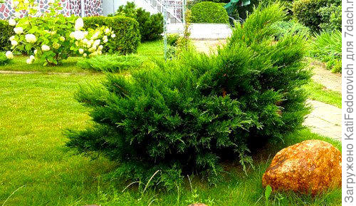 типа такого что-то