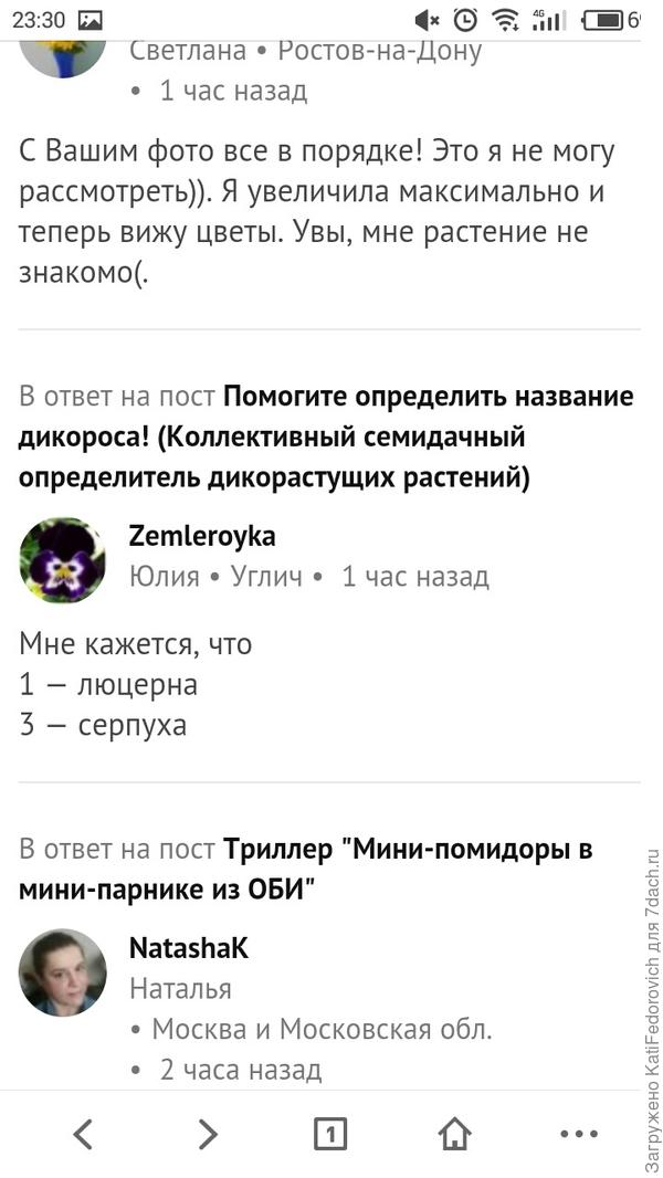 На ответе Юлии, нет значка