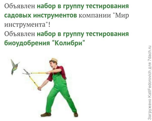 вот уже страждущие дачники гоняться за колибри ))) колибри, правда, с курицу размером