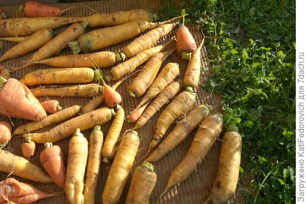 Зато она есть )))