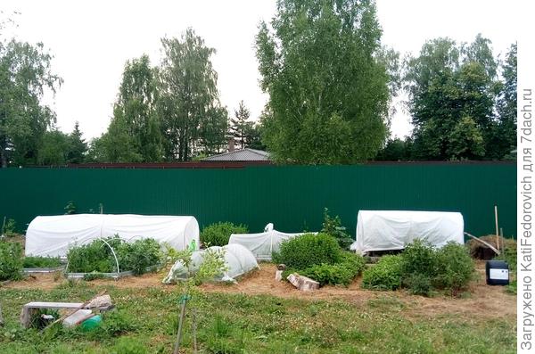 Огород в агротексе