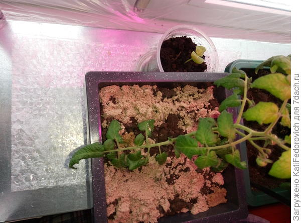 У меня в два слоя