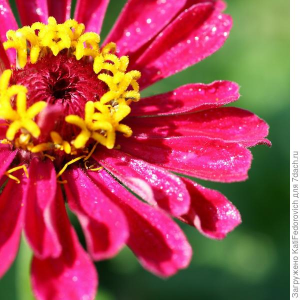 С днем рождения!