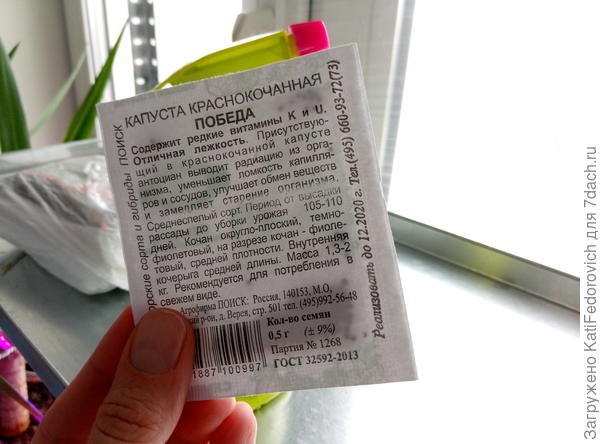 капуста красная. Ни разу не сажала, очень хочется попробовать )