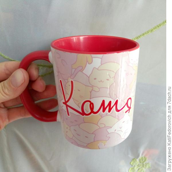 Катя и котики