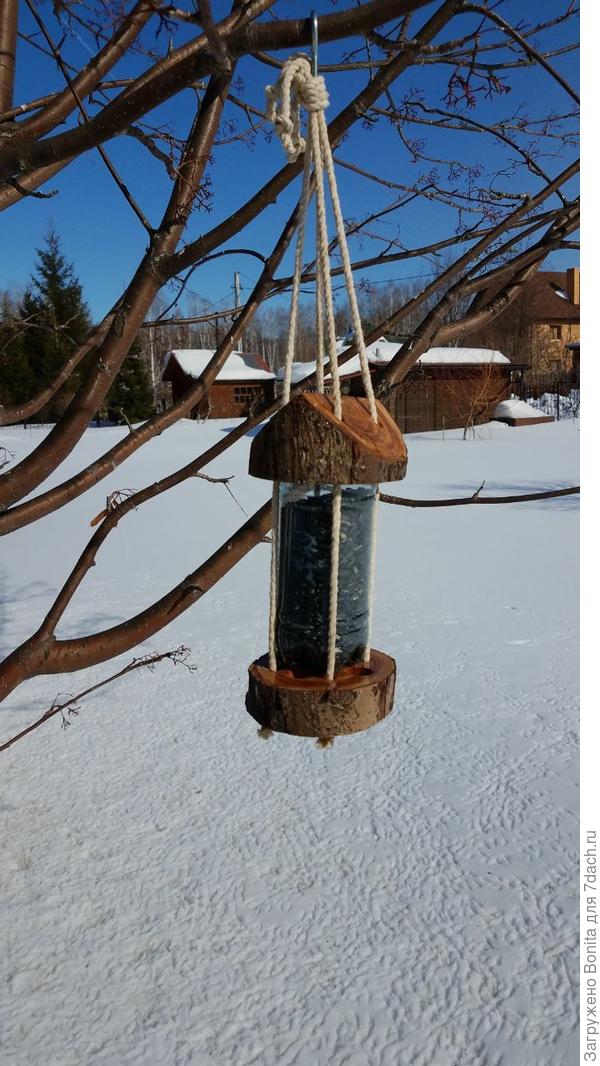 Она же зимой - птички с удовольствием посещают, судя по тому, как утоптан снег