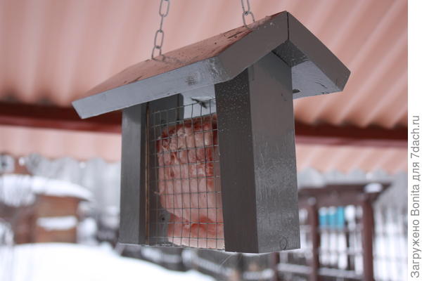 А это кормушка с салом для синичек