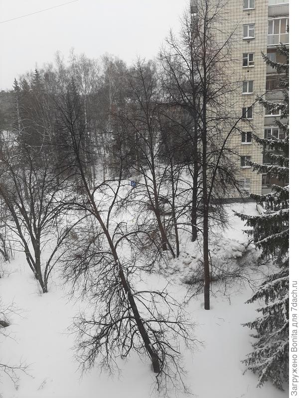 Где же ты, весна?!