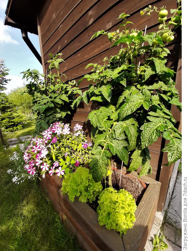 Что-то пошло не так...