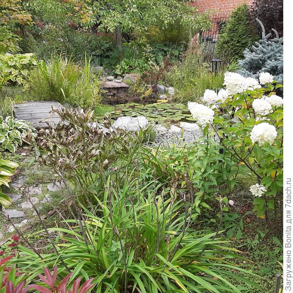 Сильвер Доллар справа