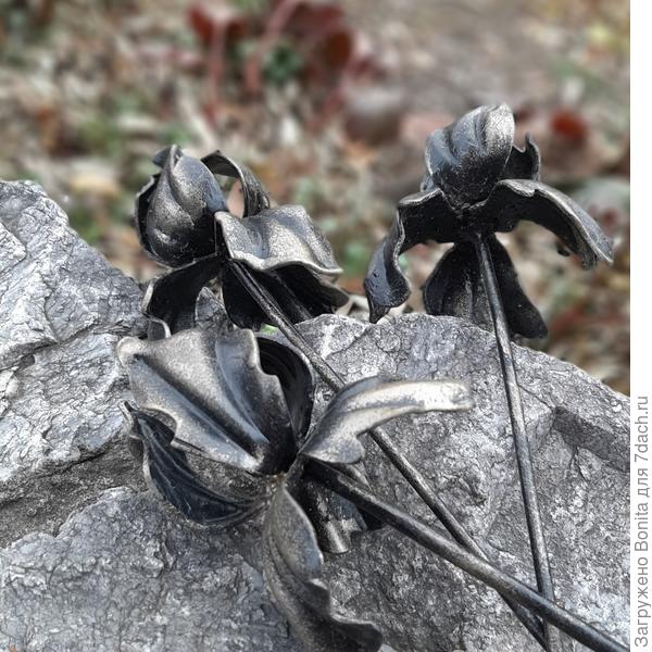 &quot;Осени поздней цветы запоздалые...&quot; ))