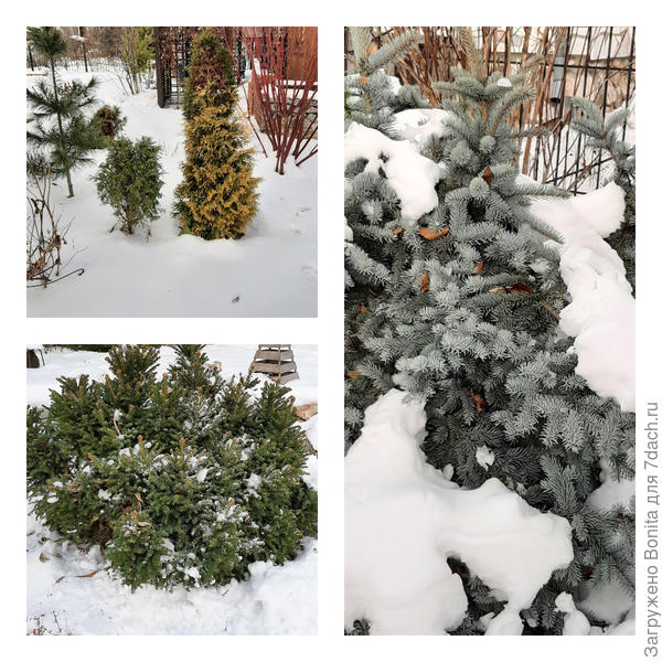 Снега еще совсем мало