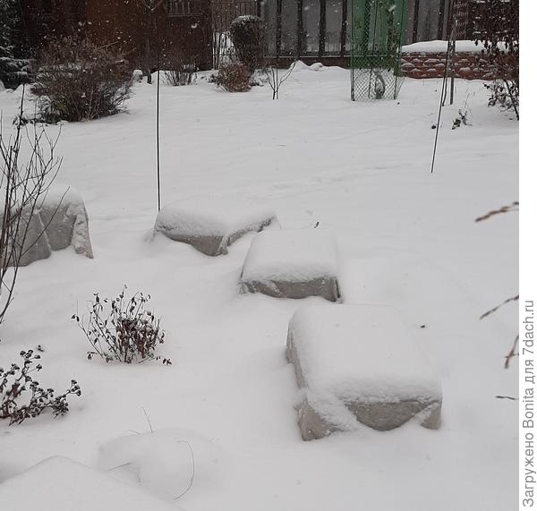 В ноябре до снега накрываю спанбондом. Вот уже присыпало снежком.