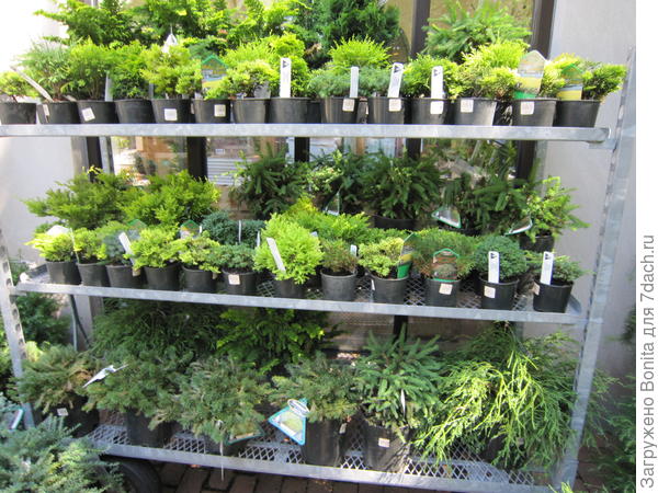 Рядом с магазинчиком торговая площадка