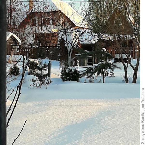 Свежий снежок