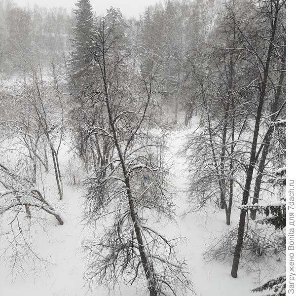 Вчера целый день шёл снег