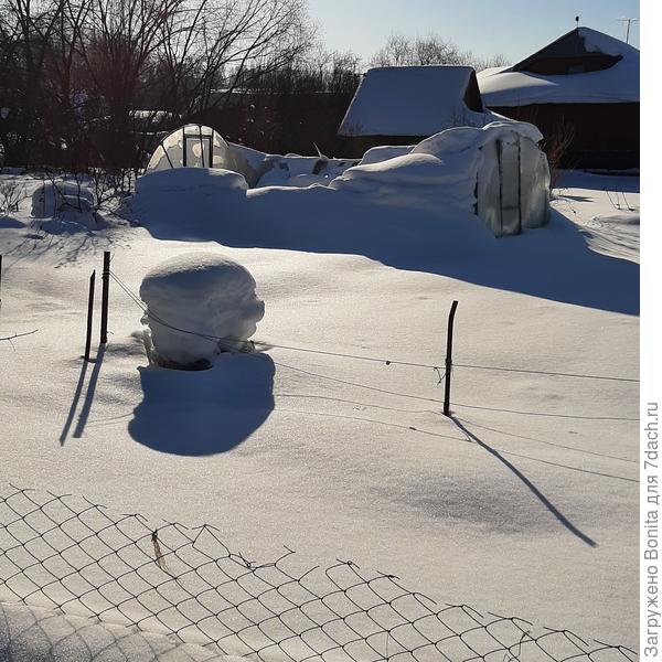 "Останки" новой теплицы. Видно, как много снега у нас.
