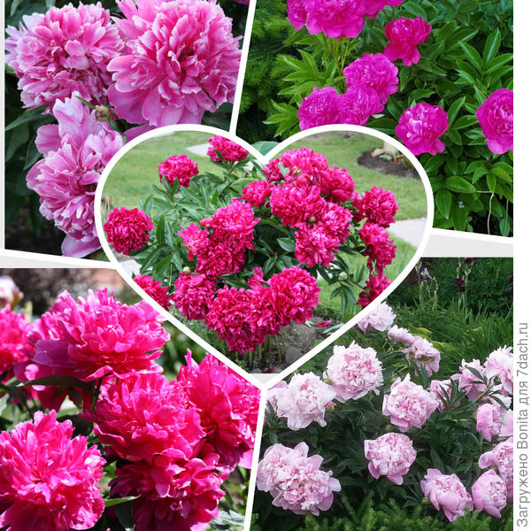 С 9-летием!!!!!