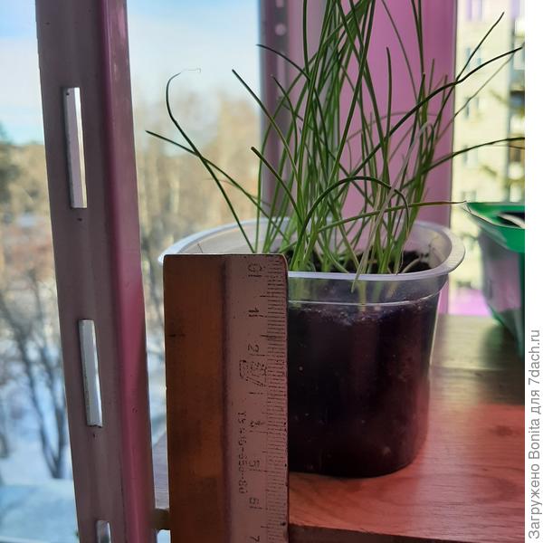 Это Эксибишен