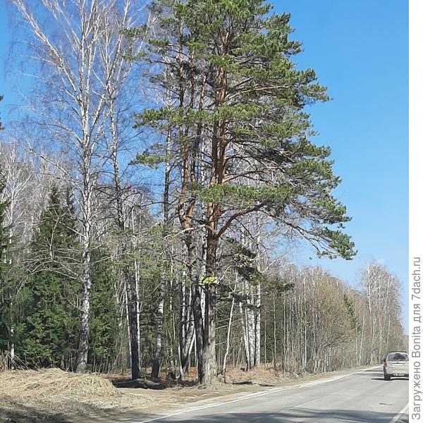 По дороге на дачу