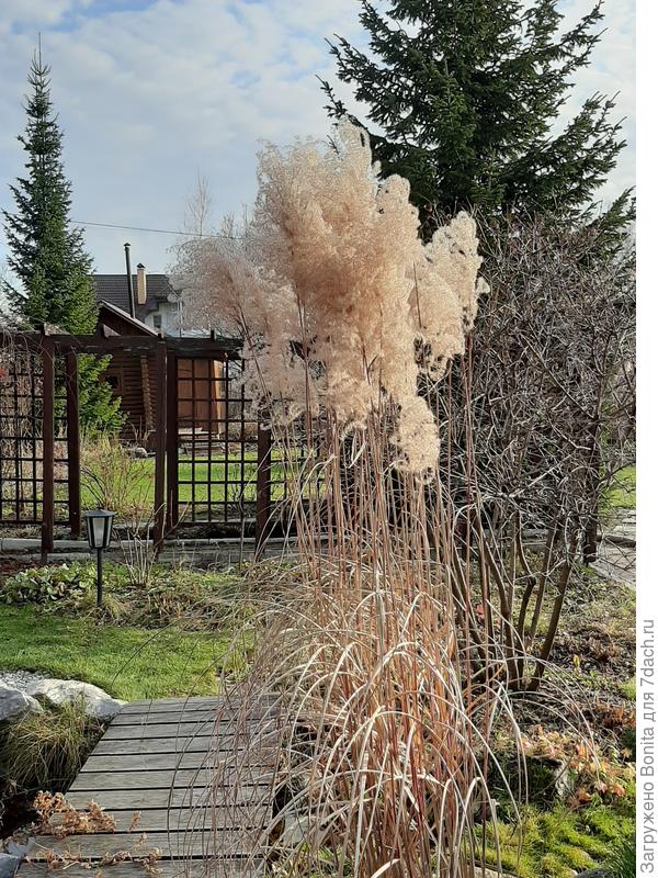 Еще один, в октябре