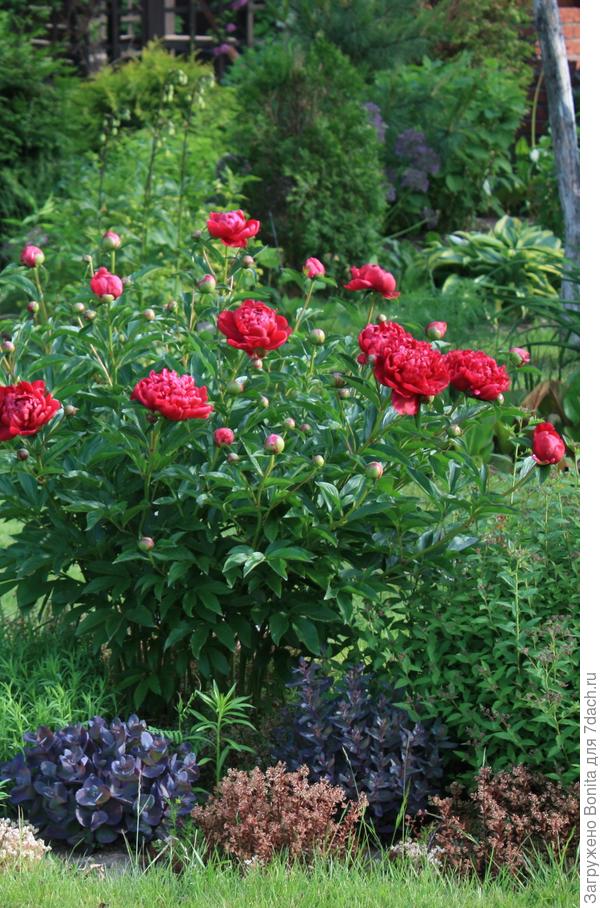 Тот же день, практически то же время. Солнце спряталось за тучи.