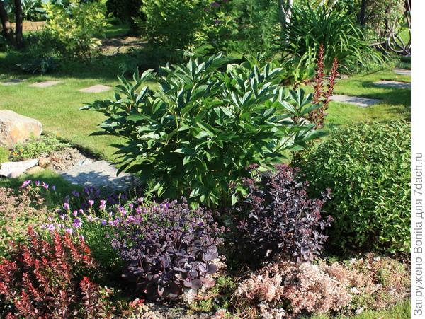 18.07 Оба набирают цвет