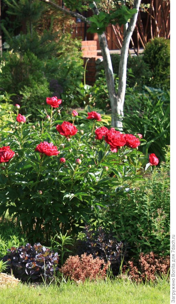 12.06 Освещены утренним солнцем