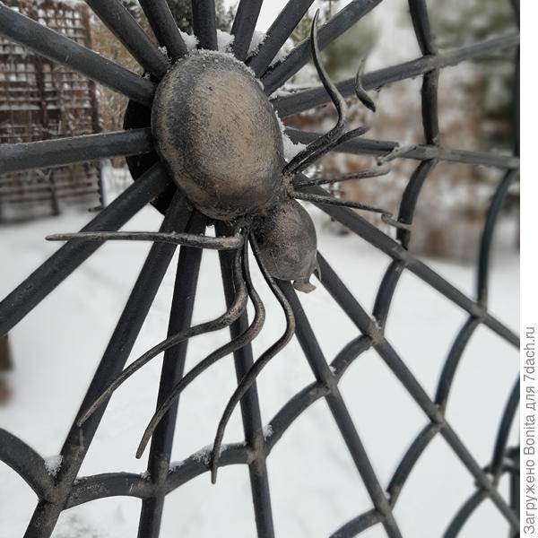 До свиданья, паучок, не замерзай!