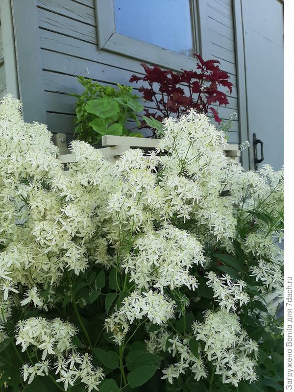 Он же ближе