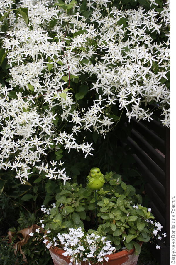 Он же ближе