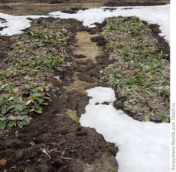 У нас каждую весну такая картина