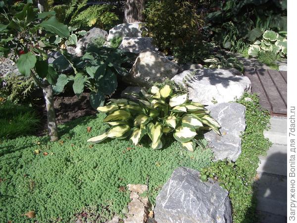 Справа в камнях вдоль ступеней