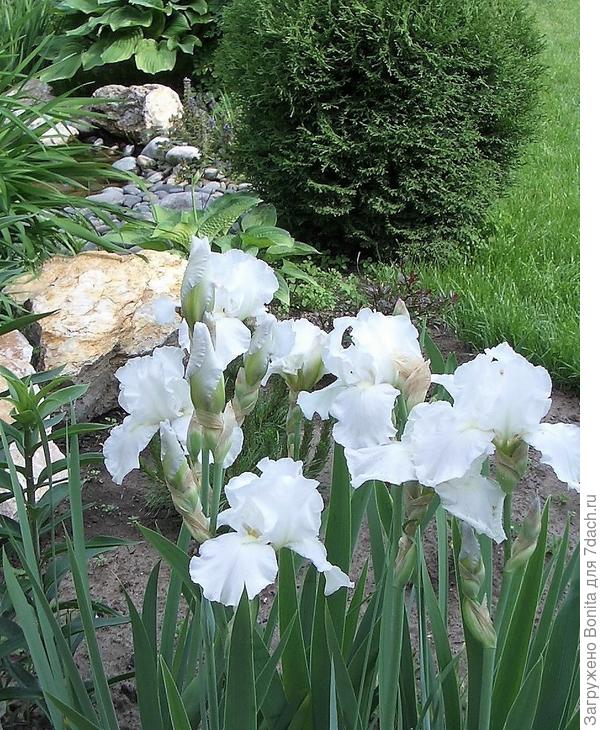 Ласковой весны, теплого лета, богатых урожаев!