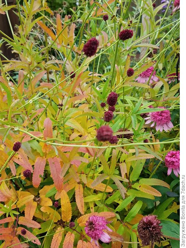 Фото 20 сентября