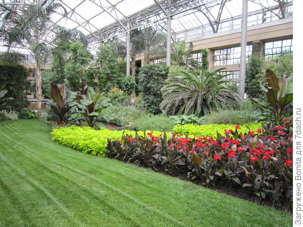 Тут сочетание на контрасте