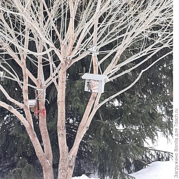 Тут же налетели очень заинтересованные