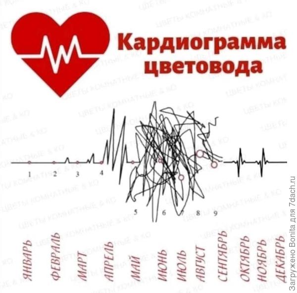 Примерно так