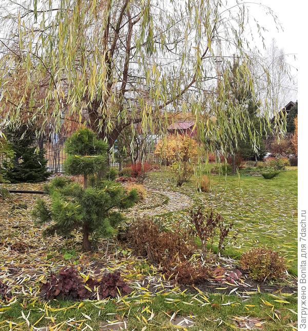 Это прошлой осенью. Т.е. этой весной у неё пятилетний юбилей (на новом месте)))