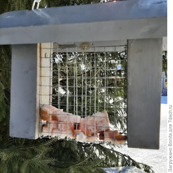 Сало в одной кормушке почти доели