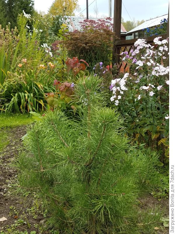 В тот же год осенью