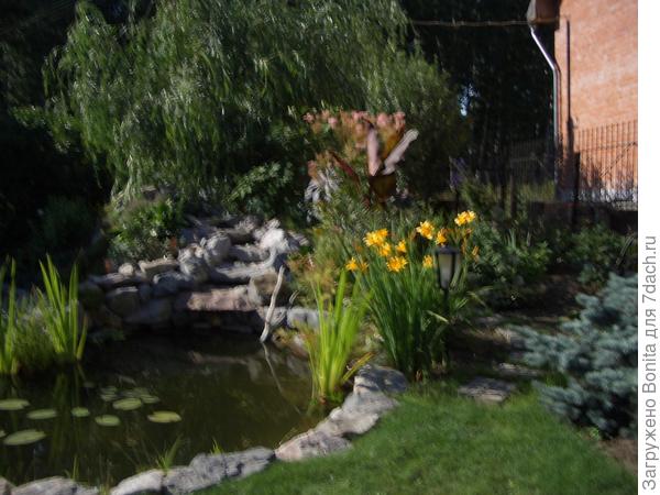 Первые лучи