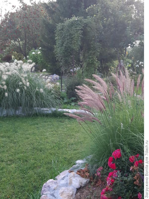 Вот тут они оба