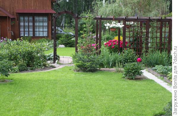 Этот же газон, в июле 2010г.