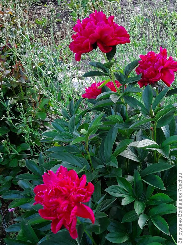 Вот здесь ближе всего