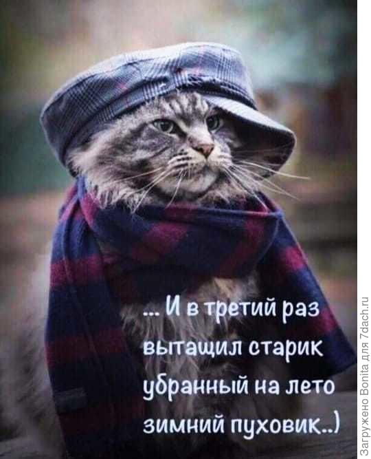 Это про меня. Сегодня вытащила убранную на лето куртку на меху. Про остальные детали одежды, которые нацепила на себя, чтобы можно было поработать по такому холоду в саду, умолчу.)))