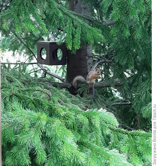 Нет электричества, идет дождь, но обед по расписанию)))