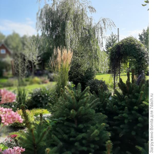 Красиво подсвечен послеобеденным солнцем